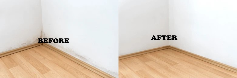 Before Sofa Cleaning